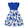 thumbnail image 3 of Girls Vintage Dress Floral Ruffle Pleated Dresses Flutter Crew Neck Tunic Dress Summer Casual Retro Clothing, Sky Blue, 10 Years, 3 of 7