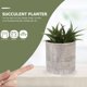 thumbnail image 1 of unbranded 6Ud Plantas Decorativas Artificiales Simuladas Ideales Para Centros De Y Hogar, 1 of 6