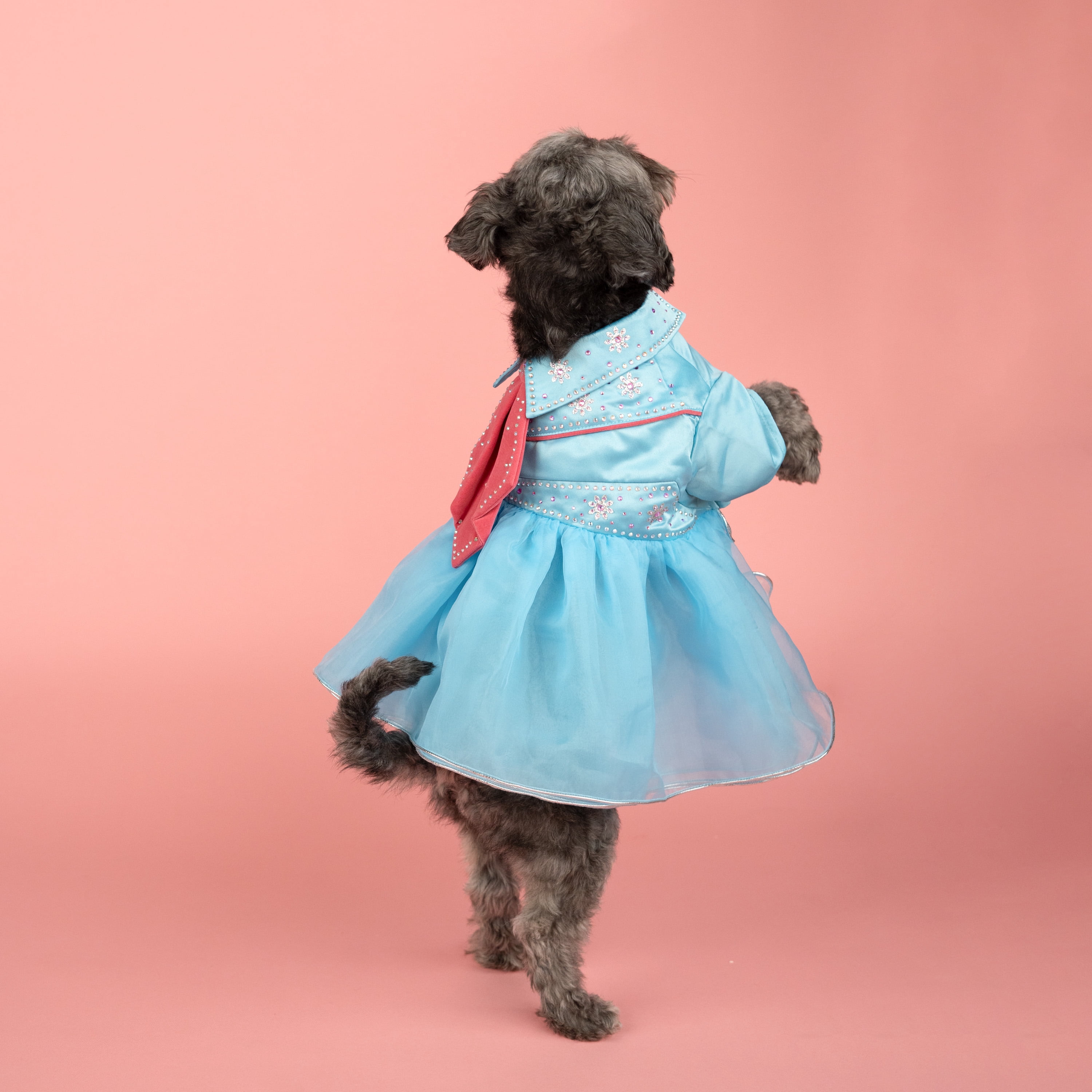 Doggy Parton, Dog and Cat Clothes, Western Rhinestone Tutu Pet Dress, Blue, XS