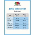 thumbnail image 2 of Fruit of the Loom boys (Assorted Colors) Boxer Briefs, Traditional Fly - 5 Pack Solids, X-Large US, 2 of 2