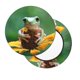 thumbnail image 2 of Disketp Tree Frog Sitting On Sunflowes Funda Redonda para Taburete, Funda de Cojín para Silla de Bar Suave y Elástica-12 inch, 2 of 7