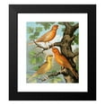 thumbnail image 2 of W. A . Blakston 20x23 Black Modern Framed Museum Art Print Titled - Cinammon Canaries (1878), 2 of 5