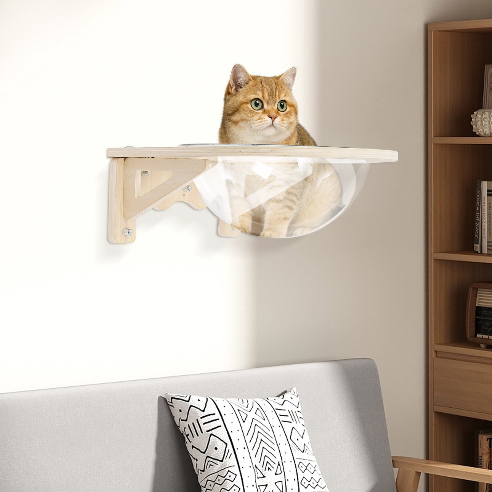 Cat Window Perch, Wall Mounted Transparent Cat Bed House, 15.75 Inch Clear Cat Hammock with Suction Cups & Screws, High Capacity 16.5lbs for Indoor Cats, Space Saving Cat Furniture
