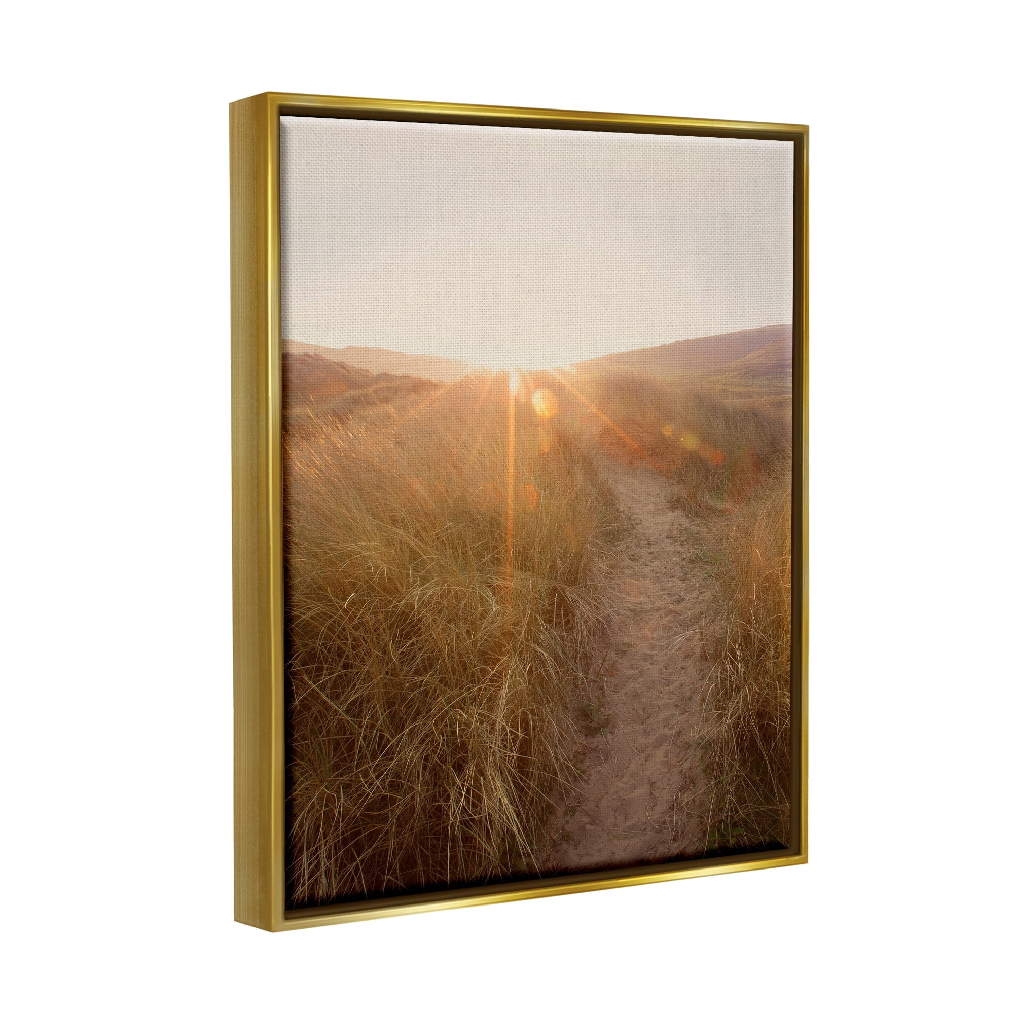 Stupell Industries Sunrays Through Sun Bleached Sand Dunes Tall Grass Metallic Gold Framed Floating Canvas Wall Art, 24x30, by Ian Winstanley