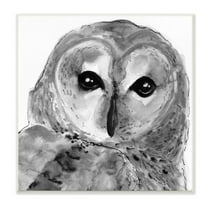 Stupell Industries Close Up Barn Owl Bird Gazing Ink Watercolor Painting Unframed Art Print Wall Art, Design by Patti Mann