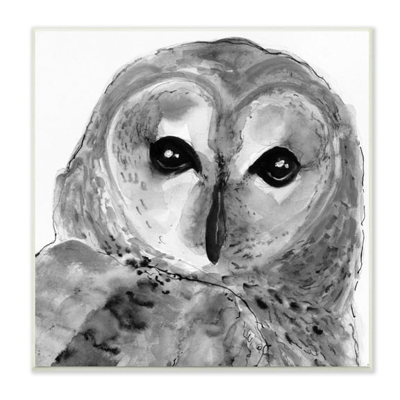 Stupell Industries Close Up Barn Owl Bird Gazing Ink Watercolor Painting Unframed Art Print Wall Art, Design by Patti Mann