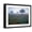Black Frame, variant on Art.com View of Texas Paintbrush and Bluebonnets Flowers at Dawn, Hill Country, Texas, USA Stretched Canvas Print Wall Art by Adam Jones, 16" x 12"