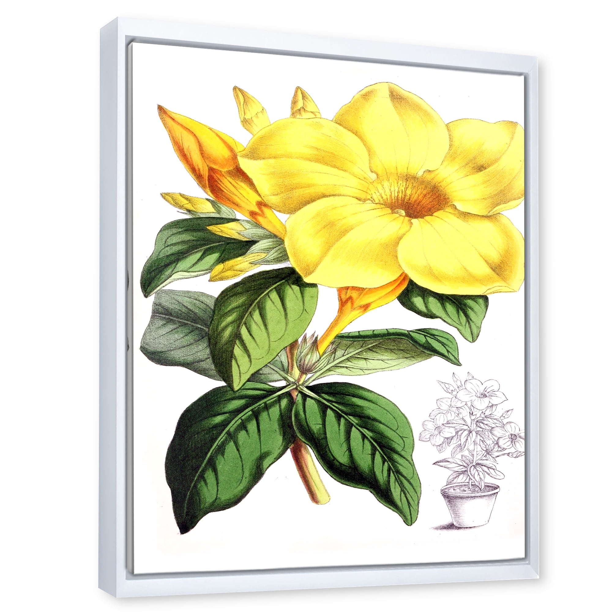 Designart 'Green Leaves With Tropical Yellow Flowers II' Traditional Framed Canvas Wall Art Print