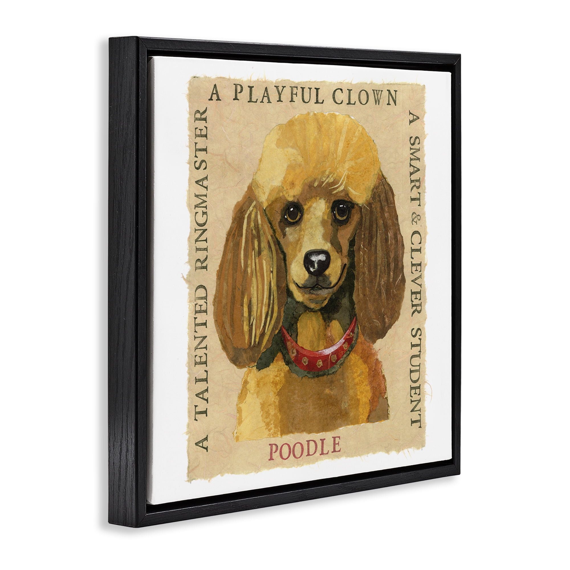 Stupell Industries Fun Poodle Pet Phrases Animals Painting Black Floater Framed Canvas Art Print Wall Art, 18 x 18
