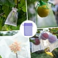 thumbnail image 2 of Bolsas de Protección de Frutas Uxcell 100 Pack - Bolsas de Malla para Frutas de 4x6 Pulgadas con Cierre de Cordón Aplicables a Plantas (Púrpura Claro), 2 of 7