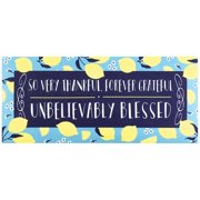 Magnolia Gardens DMI-2098 9.75 x 21.875 in. Thankful Grateful Blessed Insert Doormat