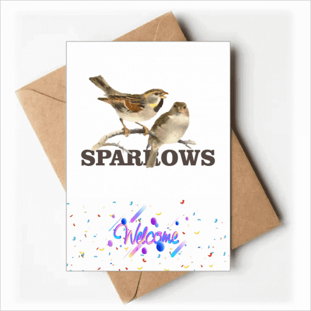 Sparrows Birds Animals Food Love Welcome Back Greeting Cards Envelopes Blank