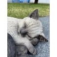 thumbnail image 2 of Sleeping Siamese Cat Statue, 2 of 6