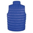 thumbnail image 2 of Result Urban Outdoor Mens Ice Bird Padded Gilet, 2 of 3