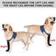 thumbnail image 4 of Calcetas para perros COODEO para evitar lamido de patas, botines curativos azules talla M, 4 of 7