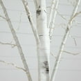 thumbnail image 4 of Nearly Natural 8ft. Pre-Lit Artificial White Birch Tree with 500 Warm White LED Lights, 4 of 11