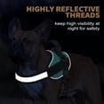 thumbnail image 4 of Arnés para perros Haapaw Essential, sin tirones, reflectante, para perros medianos, 4 of 5