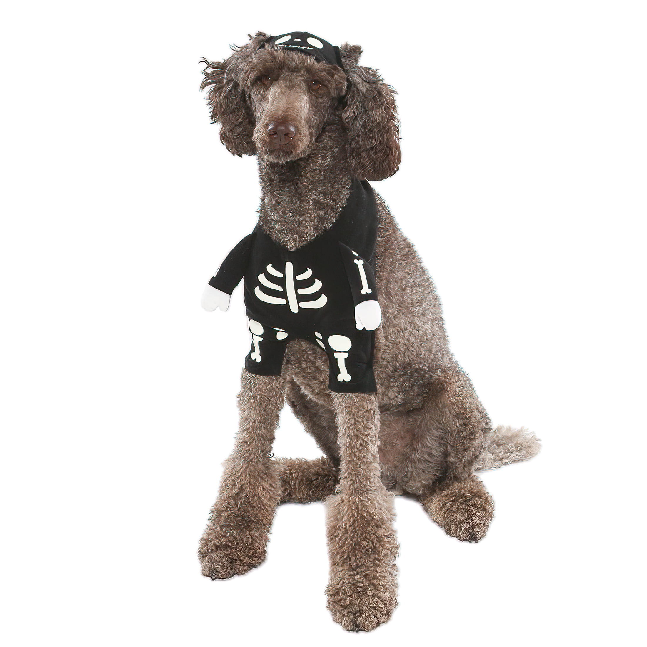 Vibrant Life Vl Hw Gid Skeleton Costume Medium