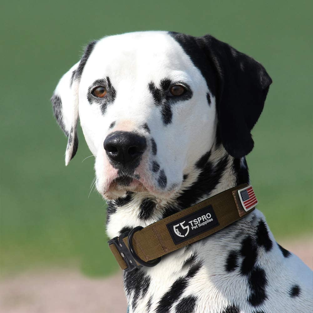 TSPRO Premium Dog Collar with USA Flag Patch Thick Dog Collar Adjustable Dog Collar Heavy Duty Quick-Release Metal Buckle Dog Collar for Small or Medium to Extra Large Dogs(Black-M)