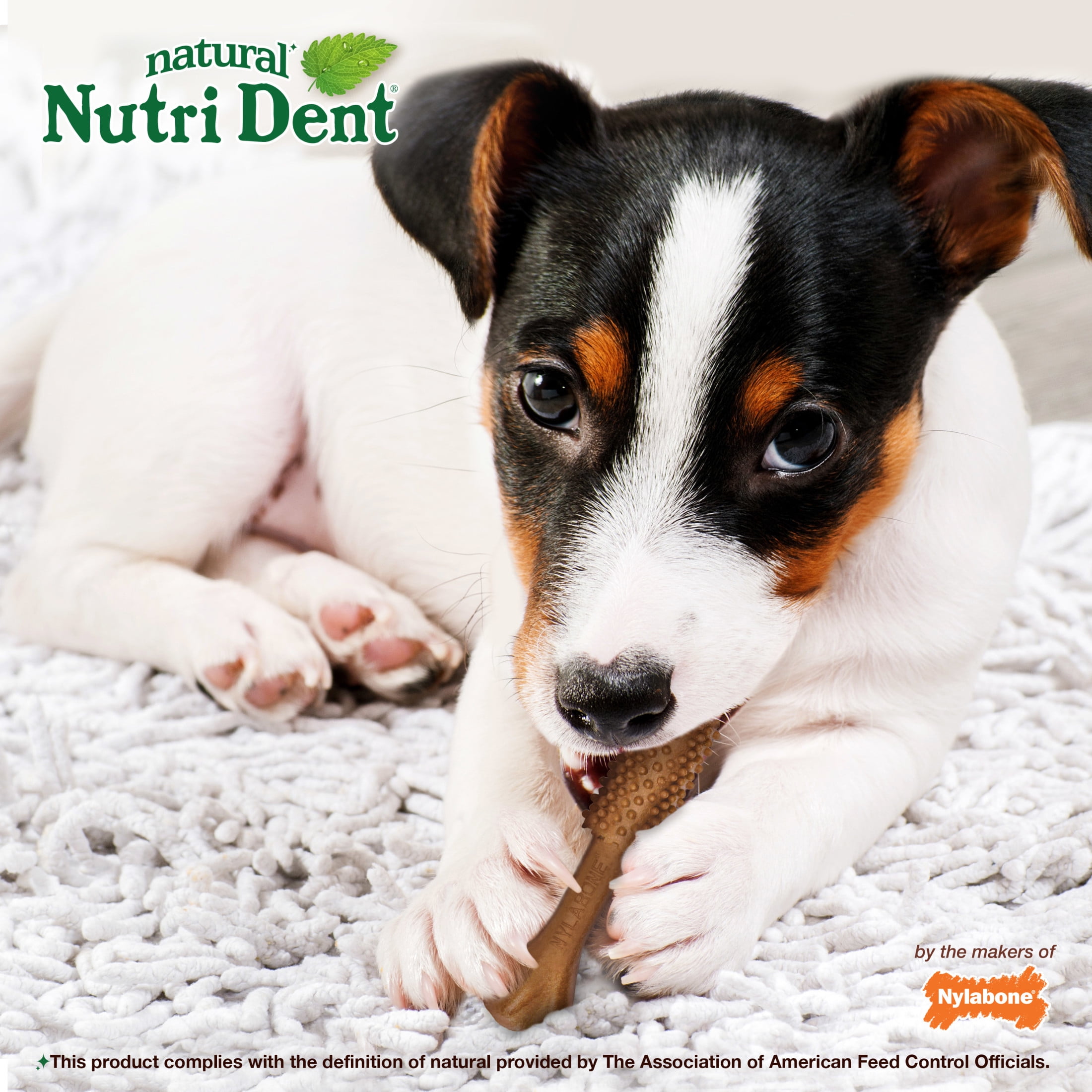Nylabone Nutri Dent Natural Dental Chews for Dogs, Limited Ingredient Dog Treats, Teeth Cleaning Dental Sticks for Dogs, Filet Mignon Flavor, For Small Dogs (64 Count)