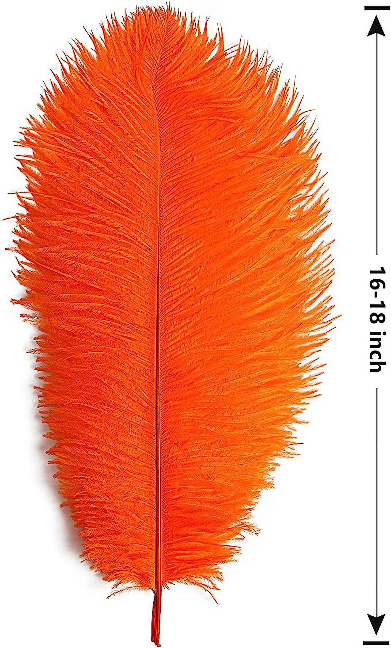Nvzi -b 12pcs Orange Ostrich Feathers Natural Bulk 16-18Inch 40cm-45cm for Wedding Party Centerpieces Easter Gatsby and Home Decorate Ostrich Feathers