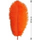 thumbnail image 2 of XmhyTop 12 plumas de avestruz verdes naturales a granel de 16 a 18 pulgadas, 40 a 45 cm, para centros de mesa de bodas, fiestas, Pascuas, Gatsby y decoración del hogar, plumas de avestruz, 2 of 5