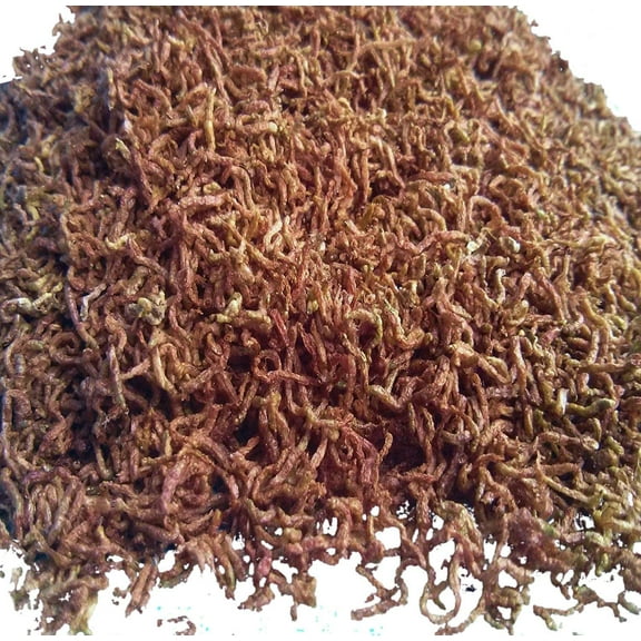 2oz Bloodworms, Grade A Freeze Dried Floating Bloodworms for Carnivorous Plants. Also Community Tropical Fish, Discus, Cichlids Bettas, Turtles. 2oz