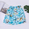 thumbnail image 3 of Pantalones cortos de verano para hombre 2023, nuevos pantalones cortos casuales de playa, de secado rápido, ropa para hombre, bañadores de moda transpirables, elásticos, 3 of 5