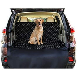 Coleman Pet Car Seat Cover Walmart