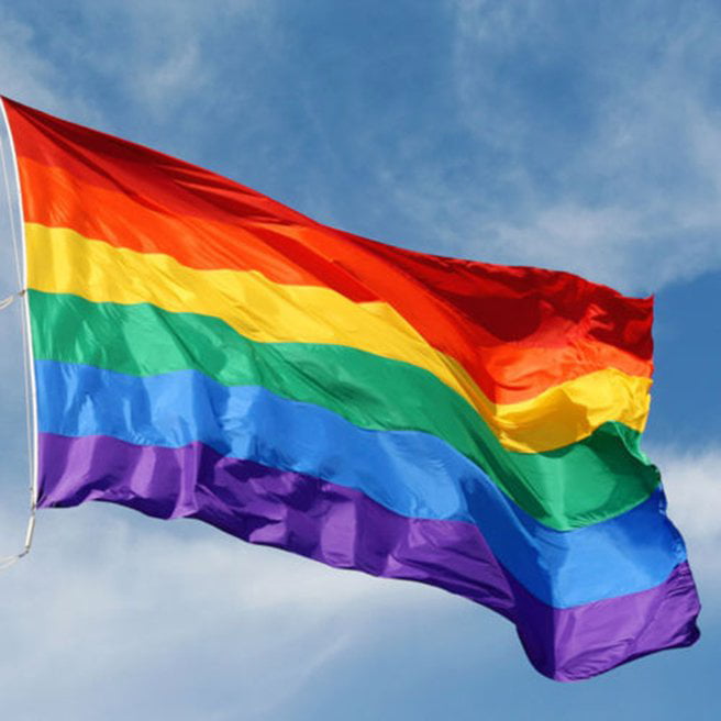Rainbow Flag 3 feet by 5 FT Gay Pride Lesbian 36" x 60" LGBT Flag with Grommets 