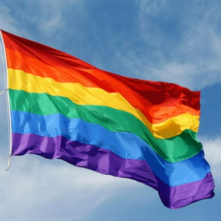 Image result for rainbow flag