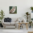 thumbnail image 2 of Yellow Eyed Owl Gaze Animals & Insects Painting White Framed Art Print Wall Art, 2 of 7
