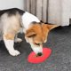 thumbnail image 4 of Pisexur Suministros para mascotas Dog Lick Mat Slow Feeder Silicone Pet Feeding Mat With Suction Cups Anxiety Relief Training Pad For Dogs Cats Bathing Grooming perros, gperros, gatos y animales, 4 of 6