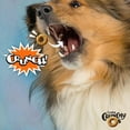 thumbnail image 2 of Fromm Crunchy O's Peanut Butter Jammers Dog Treats, 6 oz., 2 of 10