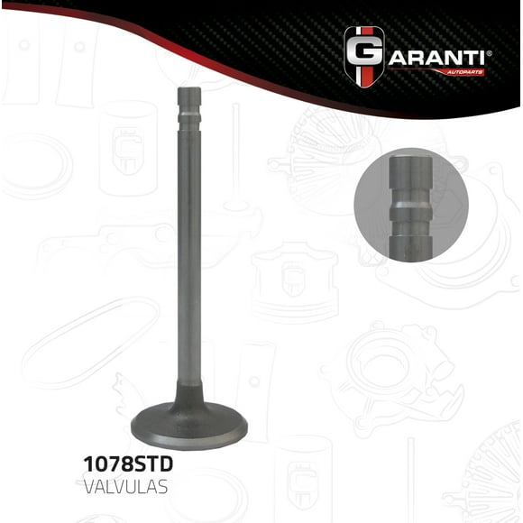 Valvula Admision Garanti Para Chevrolet G10 1966 - 1979 (Garanti)