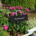 thumbnail image 5 of 30 Pcs Metal Plant Labels Weatherproof Garden Markers Reusable Nursery Tags For Vegetables Herb Flower Greenhouse Black, 5 of 5