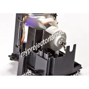 Proxima DP-8400X Projector Lamp with Module