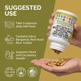 thumbnail image 6 of Clean Nutraceuticals Citrus Bergamot Red Yeast Rice Capsules with Plant Sterols - with Hawthorn Extract Olive Leaf Niacin Vitamin K3 D3 COQ10 Guggul & More, 6 of 9