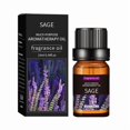 thumbnail image 1 of 20 Flavors Natural Essential Oils for Aroma Diffusers & Humidifiers, 10ml Water-Soluble Aromatherapy Fragrance Set for Home & Office Relaxation, 1 of 8