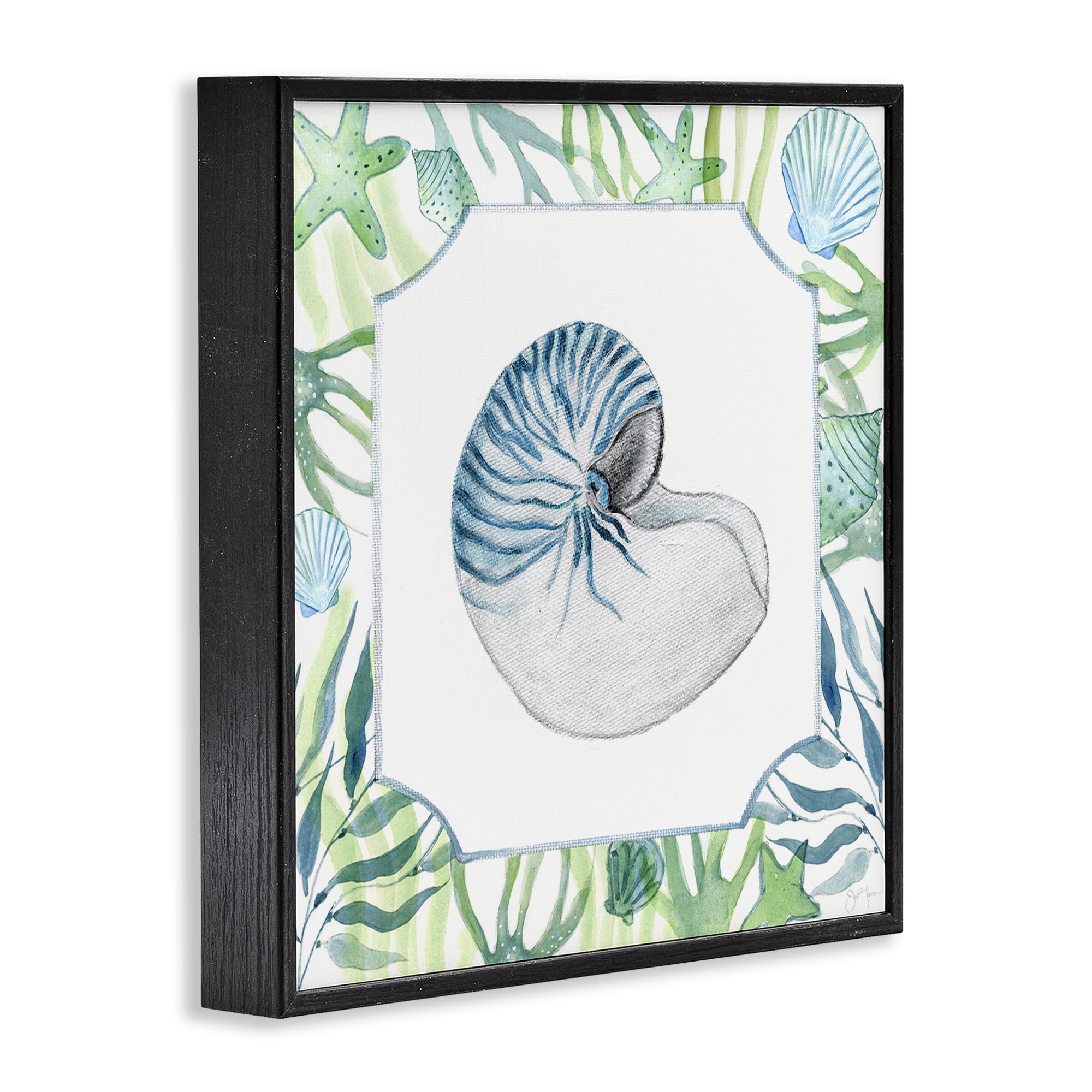 Stupell Industries Seaweed & Seashells Aquatic Black Framed Giclee Art, design by Janet Tava
