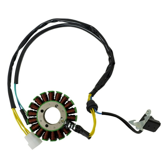 Inducido 18 Bobinas Italika Rt 250 Sport (20-24) 3-24A