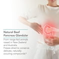 thumbnail image 4 of NutriCology Pancreas Pork - Freeze Dried Pancreas Tissue - Supports Digestive System - Glandular Capsules - Hypoallergenic Formula - 60 Servings - 60 Count, 4 of 6