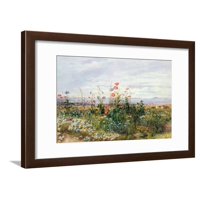 Wildflowers with a View of Dublin Dunleary Flower Scene Coastal Landscape Painting Framed Print Wall Art By Andrew Nicholl
