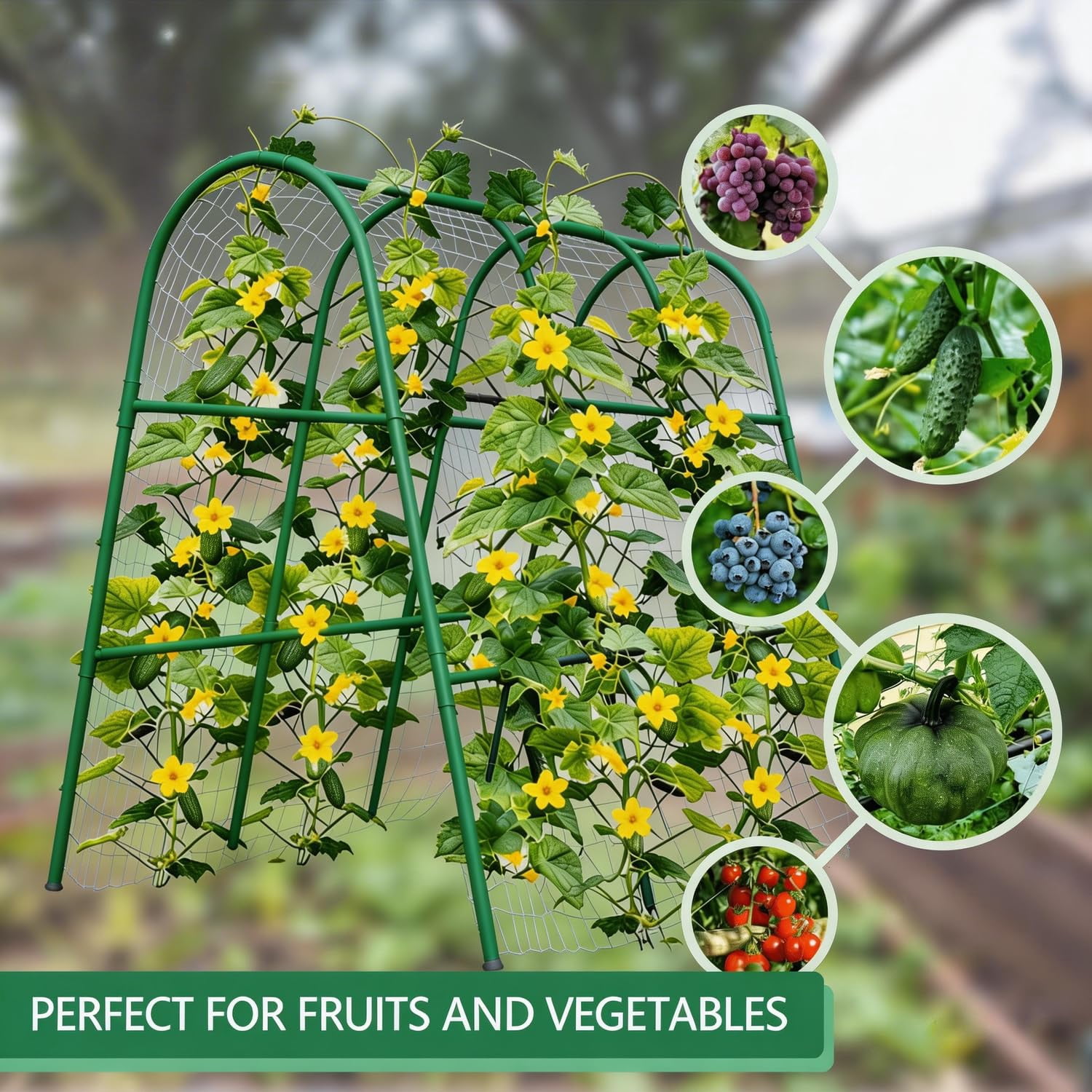 Metal Garden Arch Trellis, 5.4Ft Black for Raised Beds, Plant Support for Cucumbers & Climbing Vegetables