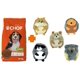 thumbnail image 1 of Paquete Chop adulto 25 kg + 1 Juguete barrigon squeaker Fancy pets, 1 of 4