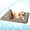 BROWN, variant on Cooling Mat for Dogs Cats Ice Silk Pet Self Cooling Pad Blanket for Pet Beds/Kennels/Couches /Car Seats/Floors,BROWN,50X40CM