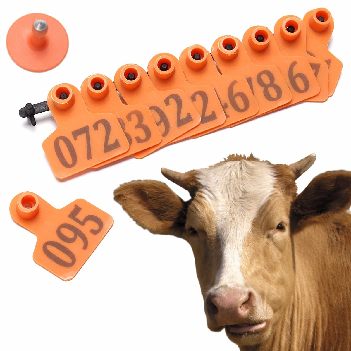 1Set 1-500 Number Blue Ear Tag Plastic Livestock Tag For Goat Sheep Pig Cow 