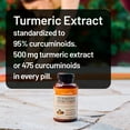 thumbnail image 3 of NatureWise Turmeric Curcumin 500mg + Bioperine Black Pepper - 90 Count[90-Day Supply], 3 of 12