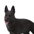 thumbnail image 1 of Dog Model, PVC Model Mannequin Display 4D Vision Anatomy Model with Two Different Types for Dog Lovers, This Ornament Is Available in Two Types to Suit Your Preference, 1 of 7