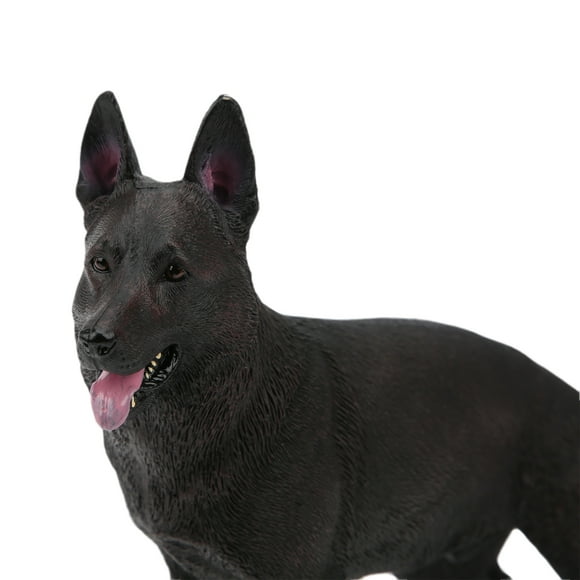 Modèle de Chien, Mannequin de Modèle en PVC Affichant une Vision 4D, Modèle d'Anatomie avec Deux Types Différents pour les Amoureux des Chiens, Cet Ornement Est Offert en Deux Types pour Convenir à Vos Préférences